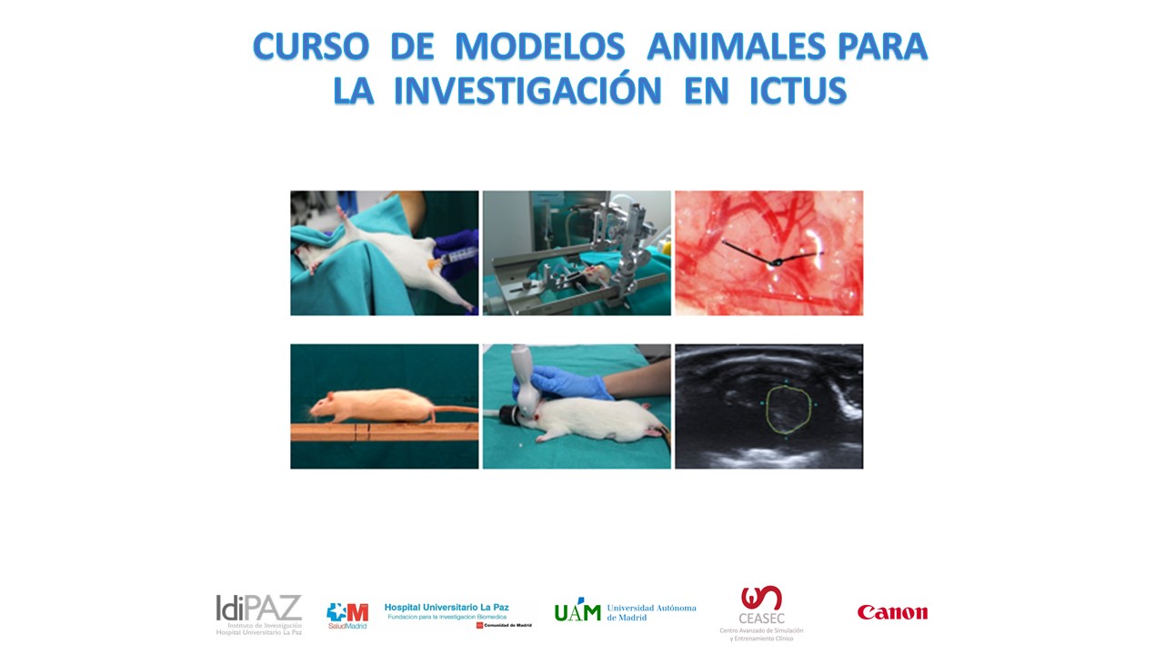 Curso modelos animales para la investigación en ictus